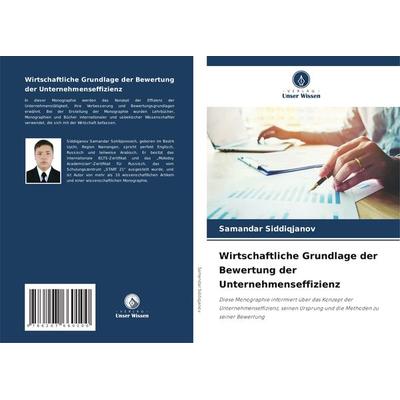 Wirtschaftliche Grundlage der Bewertung der Unternehmenseffizienz -