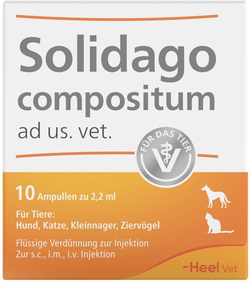 Solidago Compositum Ampullen ad usus veterinär