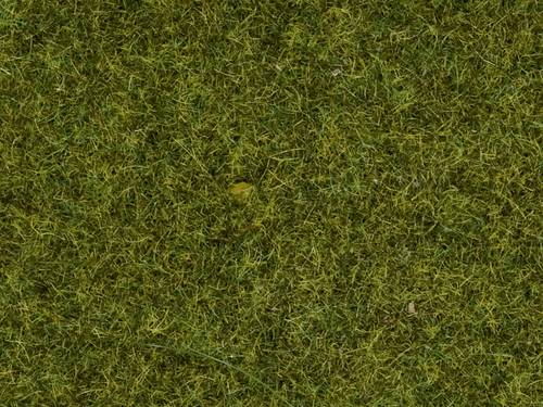 NOCH 0008361 Streugras Wiese 4 mm, 20g