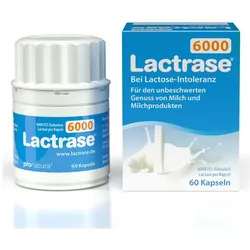 Lactrase 6.000 FCC Laktase Kapseln 60 St