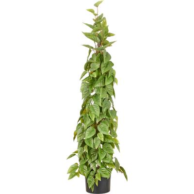Kunstbaum CREATIV GREEN "Philodendron scandens", grün, H:125cm, Obermaterial: 100% Kunststoff, Kunstpflanzen, in Pyramidenform