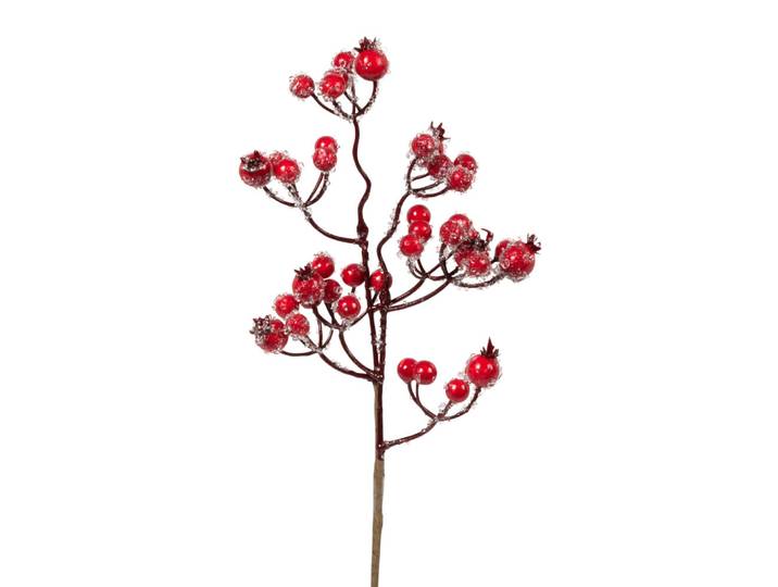 Roter Weihnachtszweig mit Raureif-Effekt