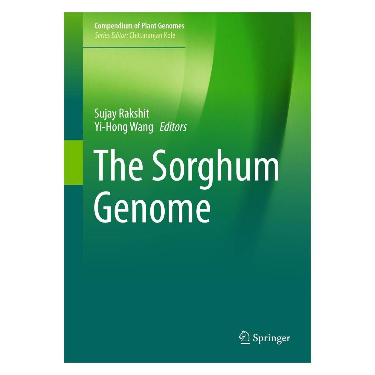 Springer The Sorghum Genome (9783319477879)