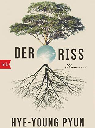 Hye-young Pyun - Der Riss: Roman - Preis vom 09.10.2026 07:28:09 h