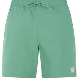 PROTEST Herren Badeshorts PRTBAKY, Größe L in Grün Grün