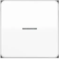 JUNG, Lichtschalter + Storenschalter, HOME Taster 1fach BTCD17101WW