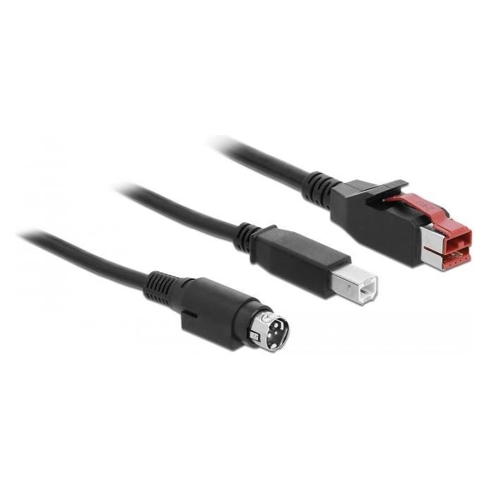 Delock 85491 PoweredUSB Kabel Stecker 24 V (5 m, USB 2.0) (85491)
