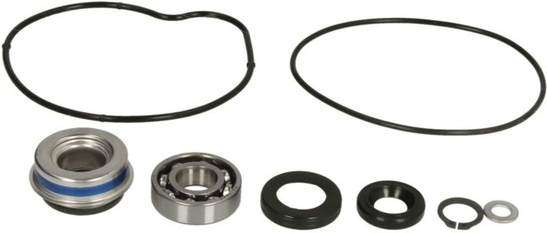 Pompe à eau WINDEROSA W821852