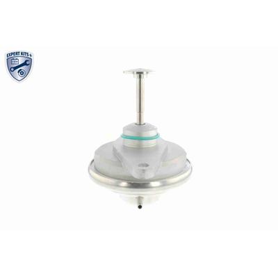 VEMO Ventil, Abgasrückführung AGR-Ventil EXPERT KITS + v40630019 für Opel SAAB