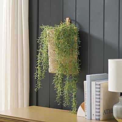 Cascading Vine Stem, Set Of Three - Grandin Road