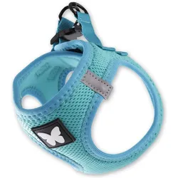 Martin Sellier Netzgeschirr für Hunde (XS, Hund), Halsband + Leine