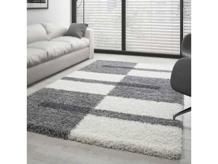 TapisTrend Tapis Shaggy Gris-Blanc-Gris Claire 120 x 170 cm Gala designe pile longue
