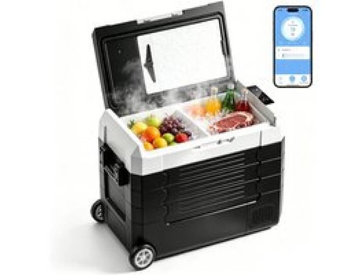 Glacière électrique 55L 12/24V DC 110-240V AC compresseur portable camping garage maison