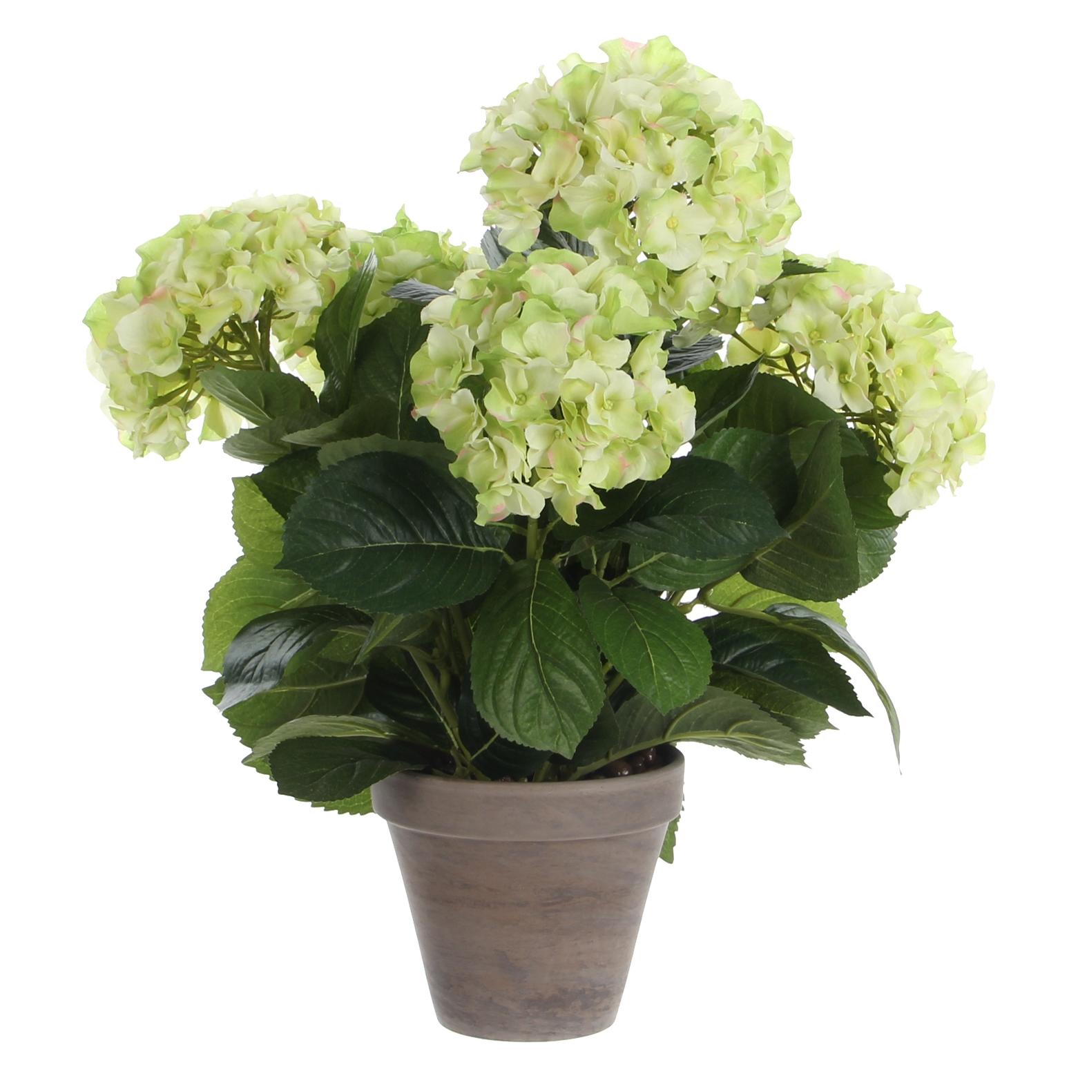 Mica Decorations Hortensien Kunstpflanze im Blumentopf Stan - H45 x Ø45 cm - Grün (45 cm) (947273)