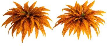 Nearly Natural 48-in Autumn Artificial Fall Boston Fern - Set of 2 - Green