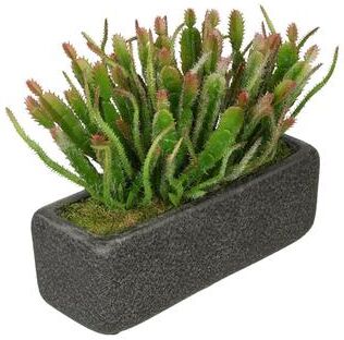 House of Silk Flowers Faux Wild Cactus Garden in Black Sandy-Texture Ceramic Vase