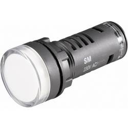 Barthelme 58602411 LED-Signalleuchte Rot 24 V/DC, 24 V/AC