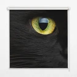 INNENROLLO - Fensterrollo - Rollo - 140x140 cm - Katzenaugen