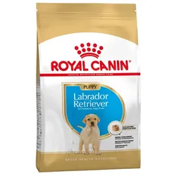 ROYAL CANIN Labrador Retriever Junior 12kg