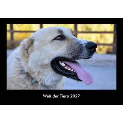 Welt der Tiere 2027 Fotokalender DIN A3