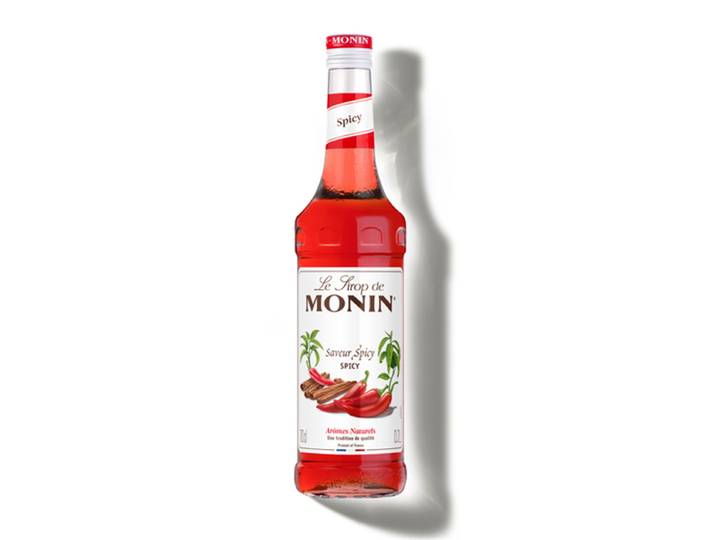 MONIN Sirop saveur épicée 70 cl