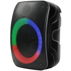 Rebeltec STAGE 300 Bluetooth speaker (10 h), Bluetooth Lautsprecher, Schwarz