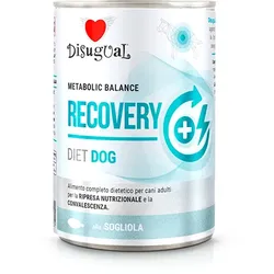 Disugual Karma Nassfutter für Hunde – Veterinärmedizinisches RECOVERY Sola (für ausgewachsene Hunde) 400g