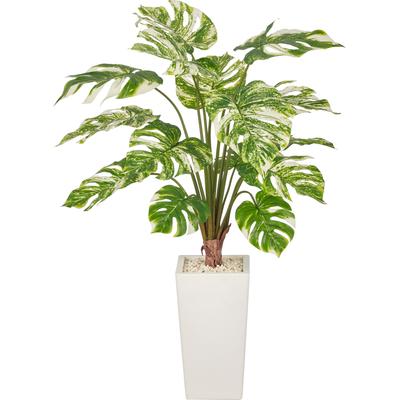 Kunstpflanze CREATIV GREEN "Monstera variegata", grün (grün, weiß), H:120cm, Obermaterial: 100% Kunststoff, Kunstpflanzen, Kunstpflanze, mit wunderschöner Blattgestaltung