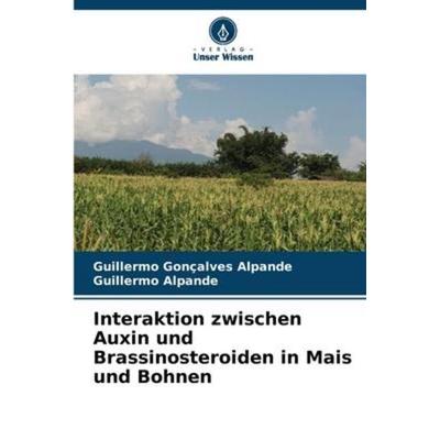 Interaktion zwischen Auxin und Brassinosteroiden in Mais und Bohnen, Taschenbuch von Guillermo Gonçalves Alpande,Guillermo Alpande, Verlag Unser