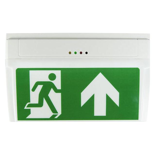 B-Safety B STY LED Fluchtweg Notbeleuchtung Deckenaufbaumontage, Wandaufbaumontage Ausgang, Rettungsweg (BR530030)