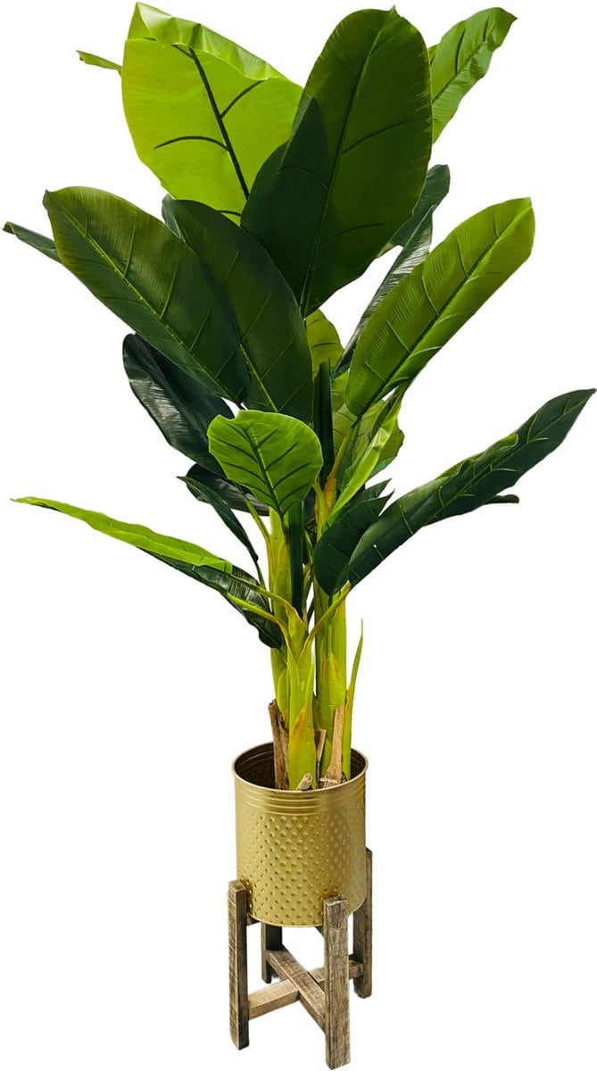 HEM Kunst Palm Bananenplant voor binnen - 165 cm - Groen
