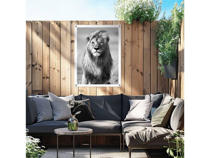 Outdoor-Poster Löwe PVC Schwarz/Schwarz 60 x 80 x 0cm