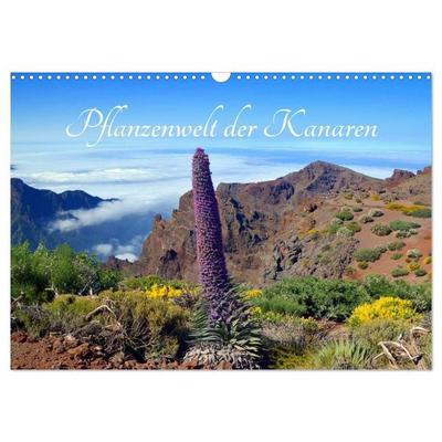 Pflanzenwelt Kanaren (Wandkalender 2027 DIN A3 quer), CALVENDO Monatskalender