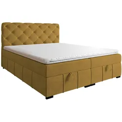 BOXBETT Gisel