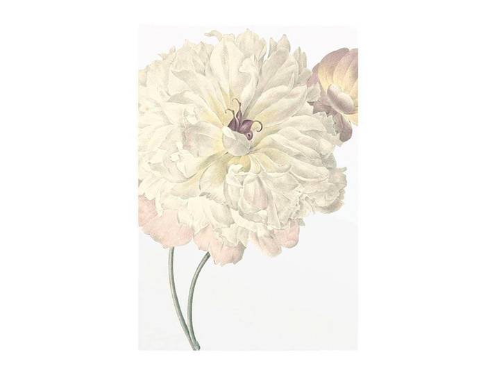 Bild KOMAR Illustration Dahlia , bunt (farbe bild(er): bunt), B:30cm H:40cm, Holz, Papier, Bilder, Bild, Wandbild zur Dekoration - ohne Rahmen