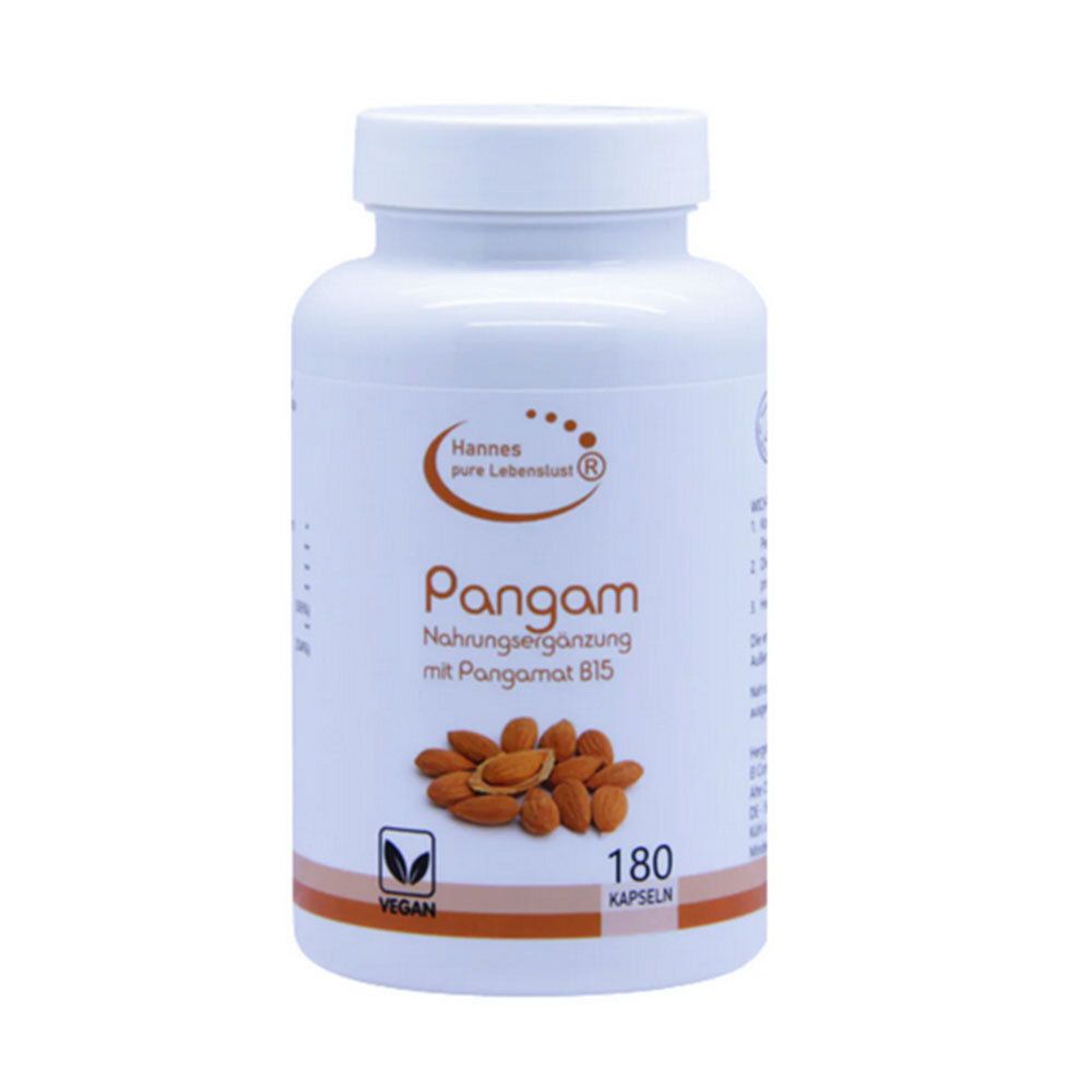 Pangam Vitamin B15 Vegi Kapseln 180 St
