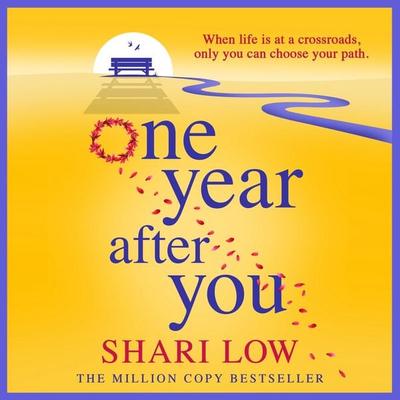 One Year After You - Shari Low, Audio, 9781804268940