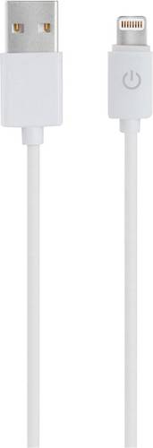 RealPower USB-Kabel USB 2.0 USB-A Stecker, Apple Lightning Stecker 1.00 m Weiß 255649