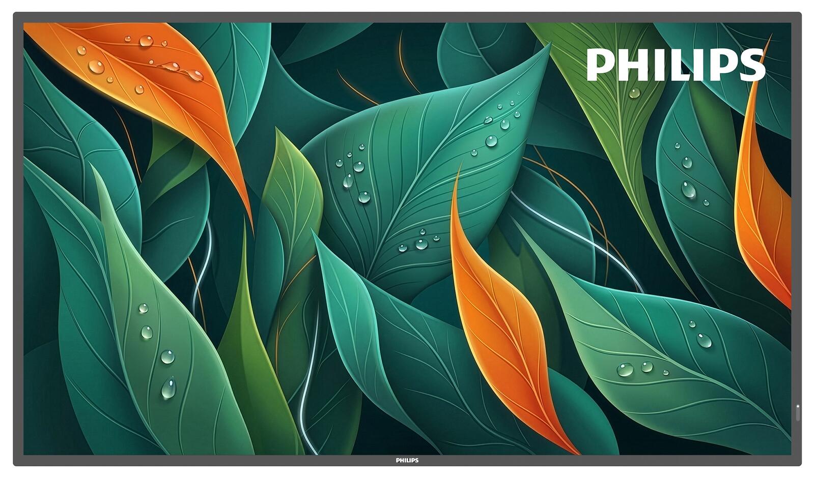 Philips 43BDL4512D Signage Display 108 cm 43 Zoll