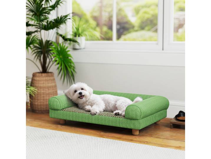 PawHut Canapé Surélevé Velours Vert 63x41x17cm Chien Chat