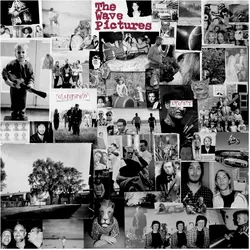 Bella Union, Schallplatten, Gained/Lost (The Wave Pictures)