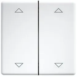 Eltako Doppelwippe lasergraviert f.55x55mm rws/glänz DW-FT55-wg+2P