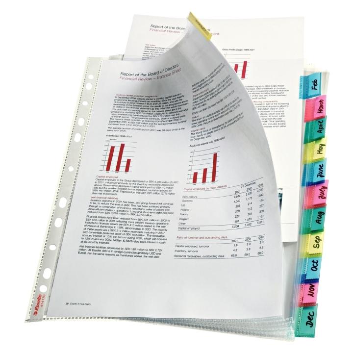Leitz Perf 12-Key Index Envelope (A4) (414170)