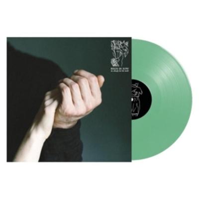 We Already Lost The World - Birds In Row, Vinyl