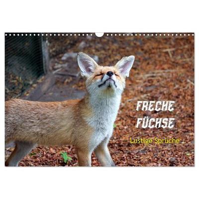 Freche Füchse - lustige Sprüche (Wandkalender 2026 DIN A3 quer), CALVENDO Monatskalender