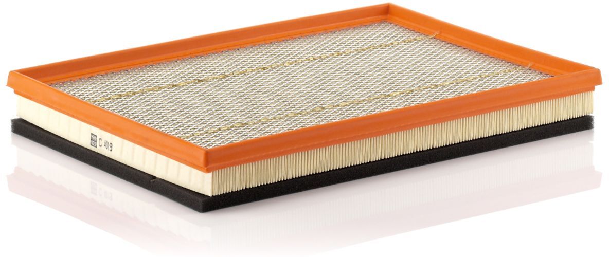 Luftfilter MANN-FILTER C 4019
