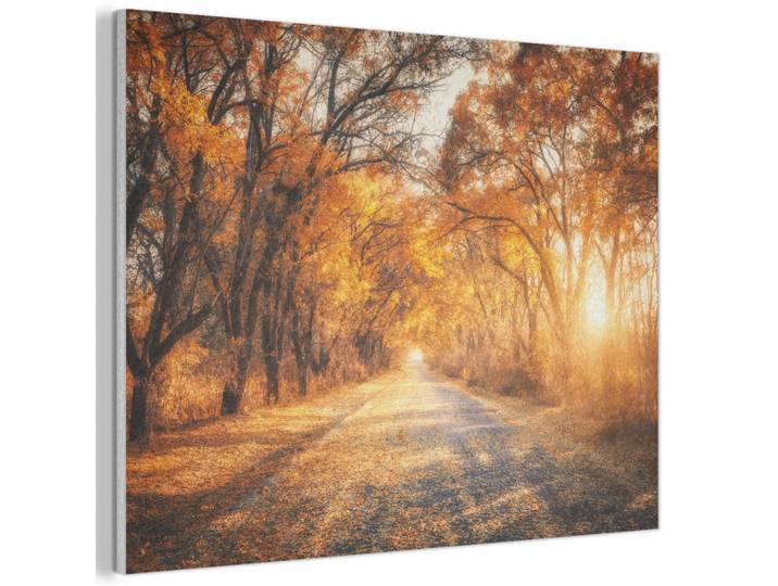MuchoWow Akustikpaneel Wald - Herbst - Bäume - Waldweg - Natur 80x60 cm, Bernsteinfarben, Kunststoff, Rechteckig, 80x60x0.9 cm, Tapeten & Wandverkleidungen, Akustikpaneele