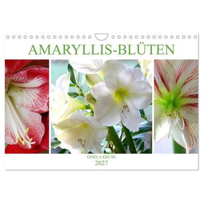 Amaryllis-Blüten (Wandkalender 2027 DIN A4 quer), CALVENDO Monatskalender