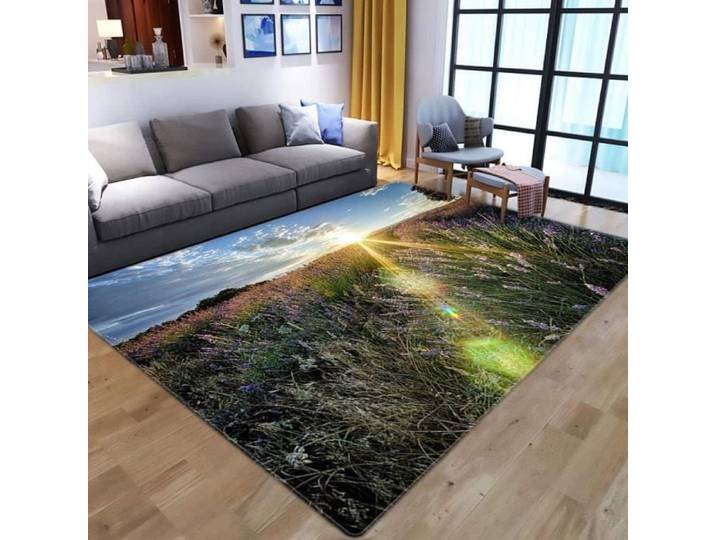 Tapis Enfant Rectangulaire - 3D Salon Plante lumière du Soleil - Gris - 60x90cm