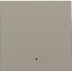 Niko Züblin 123-32002 Abdeckung mit Linse für einen einzelnen elektronischen Schalter oder T 12332002